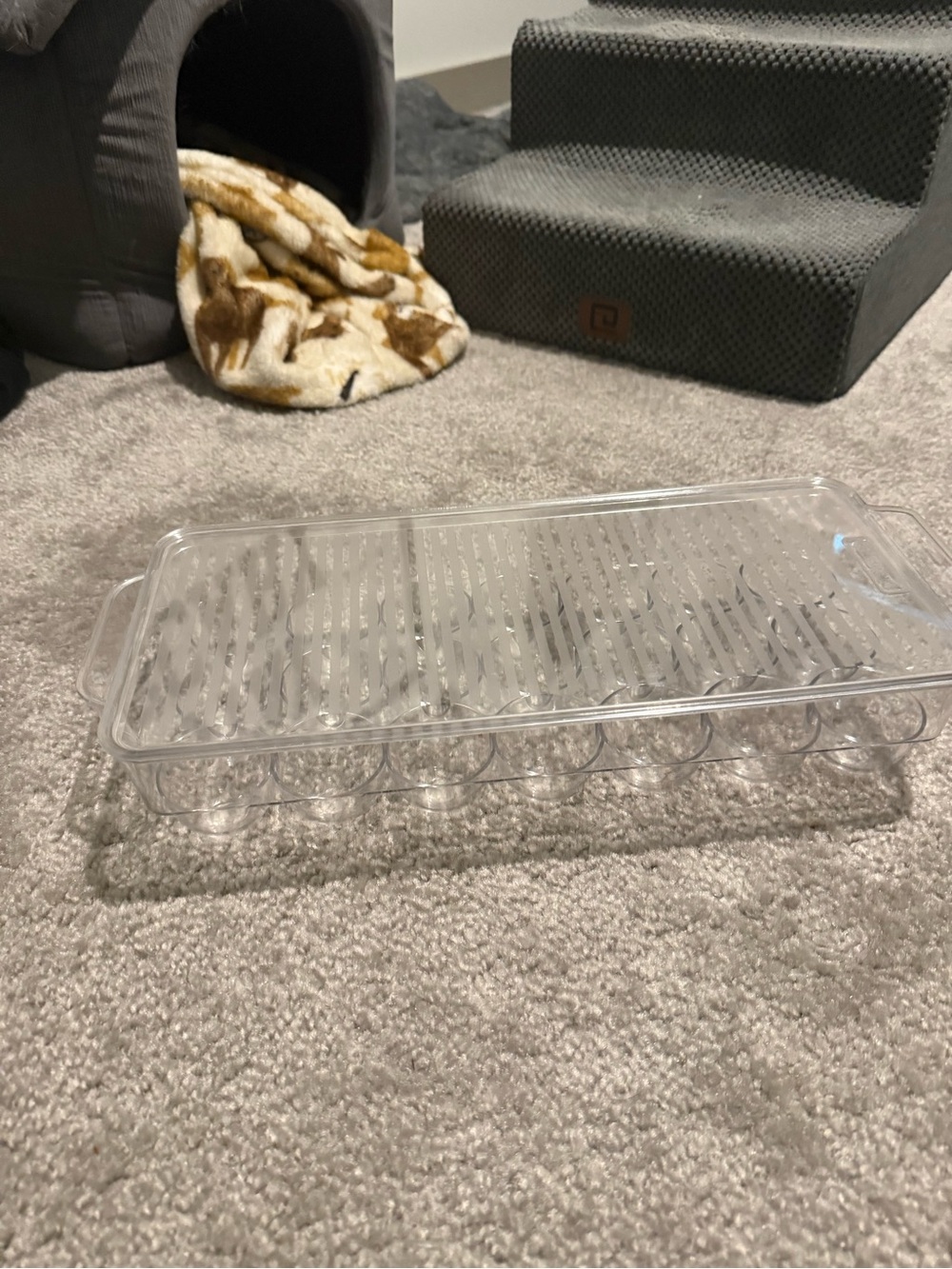 Clear Plastic Egg Storage Tray with Lid